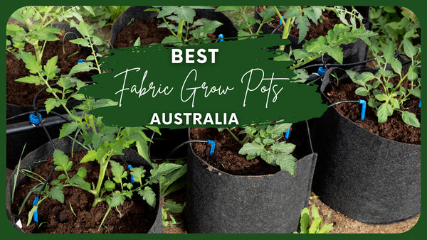 Best Fabric Grow Pots Australia