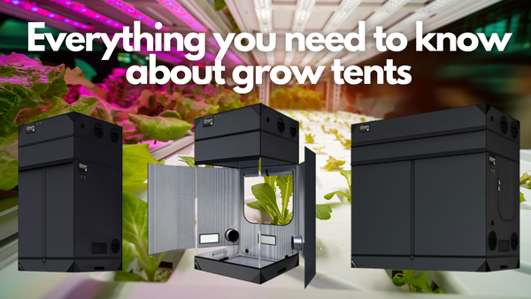 Everything You Need To Know About Grow Tents.