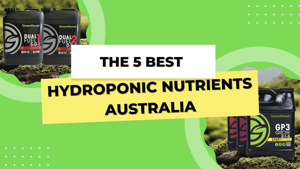 The 5 Best Hydroponic Nutrients Australia