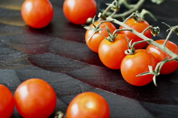 How to Grow Hydroponic Tomatoes at Home