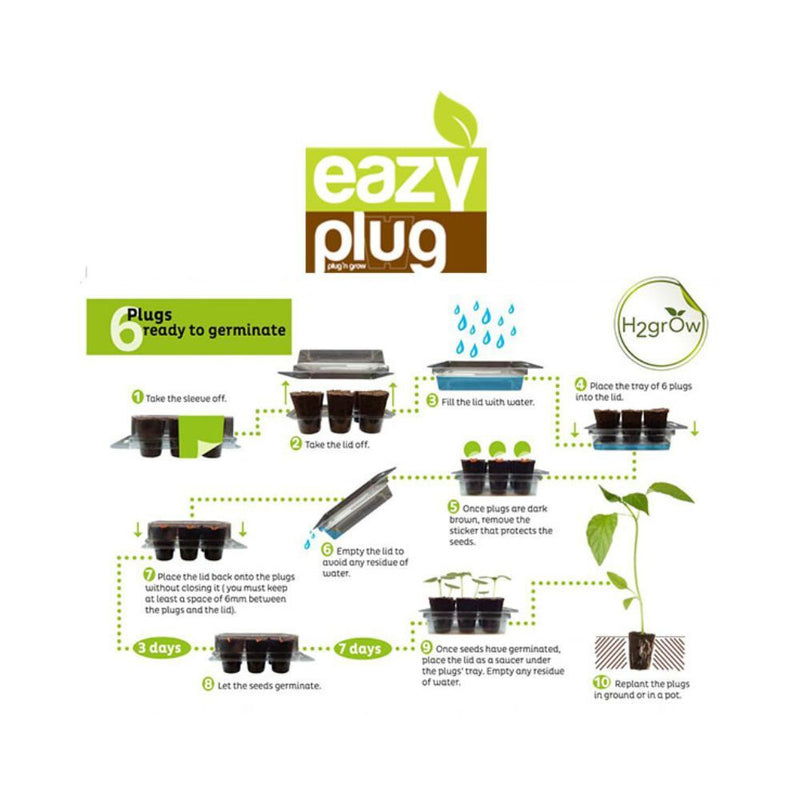 Eazy-Plug Six Plug Sowing Set