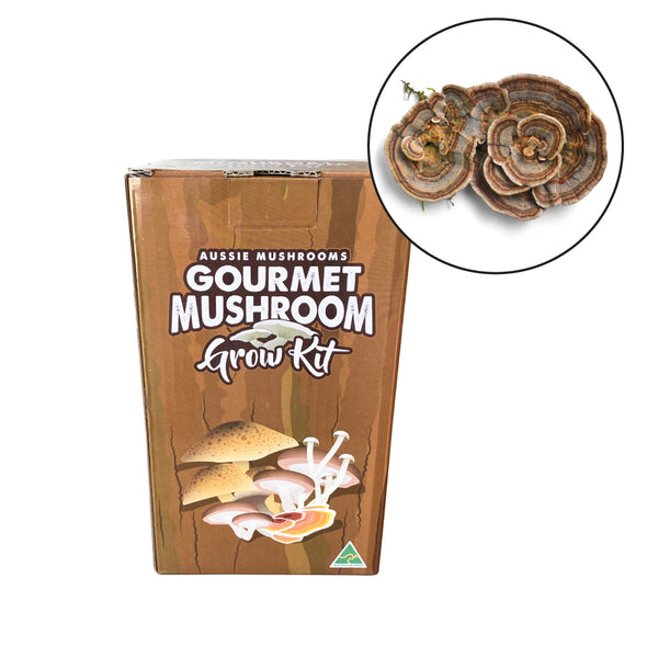 Turkey Tail - Aussie Mushroom Kit