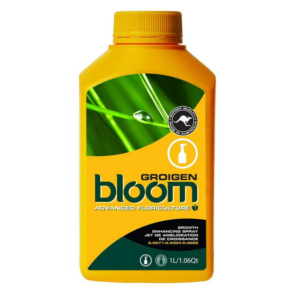 Bloom Groigen - 2.5L