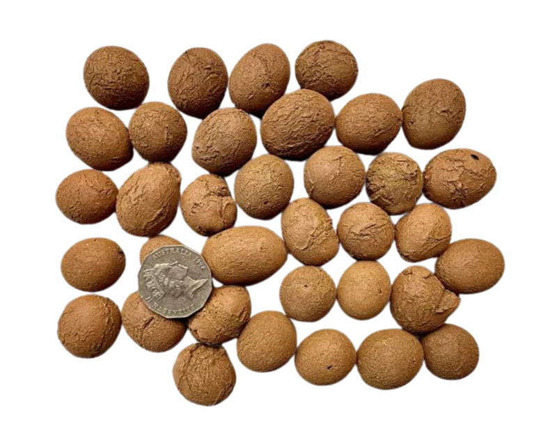 Expanded Clay Balls For Growing plants / Hydroponic Systems 30mm - 10L Bag