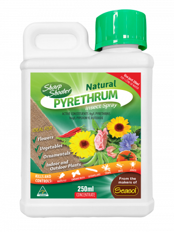 Sharp Shooter Pyrethrum Concentrate - 250mL