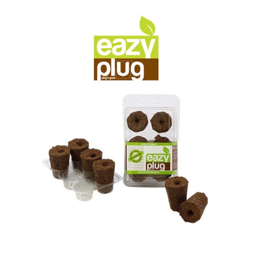 Easiest Plugs Yet - Assoted (2 Tees Pe Bag