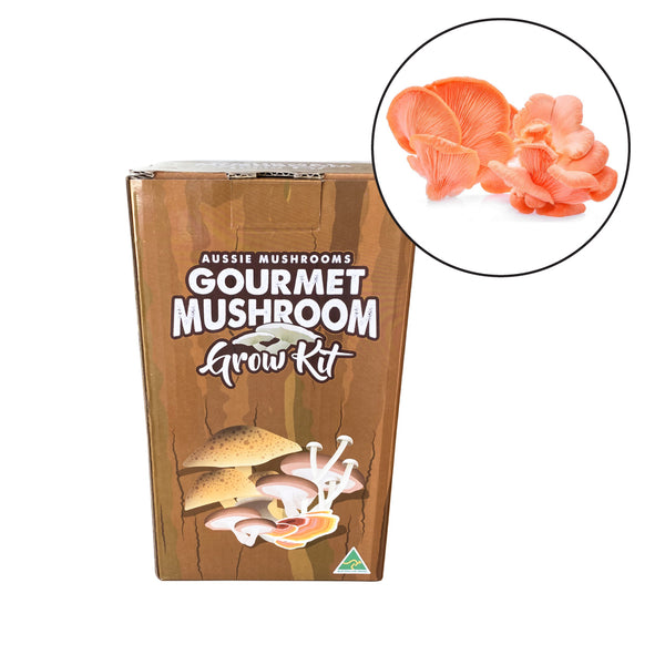 Pink Oyster - Aussie Mushroom Kit - (Warm Climate)