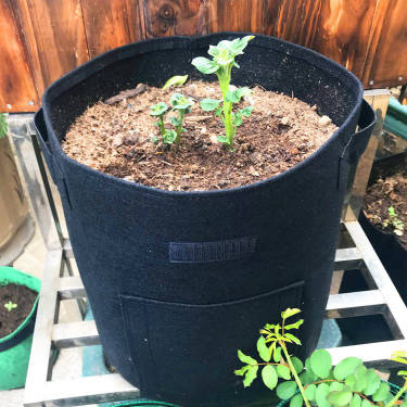 Heavy Duty Potato Grow Bags - 26L (7 Gallon)