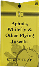 Aphids, Whitefly & Other Flying Insects - Sticky Traps (6 pack)