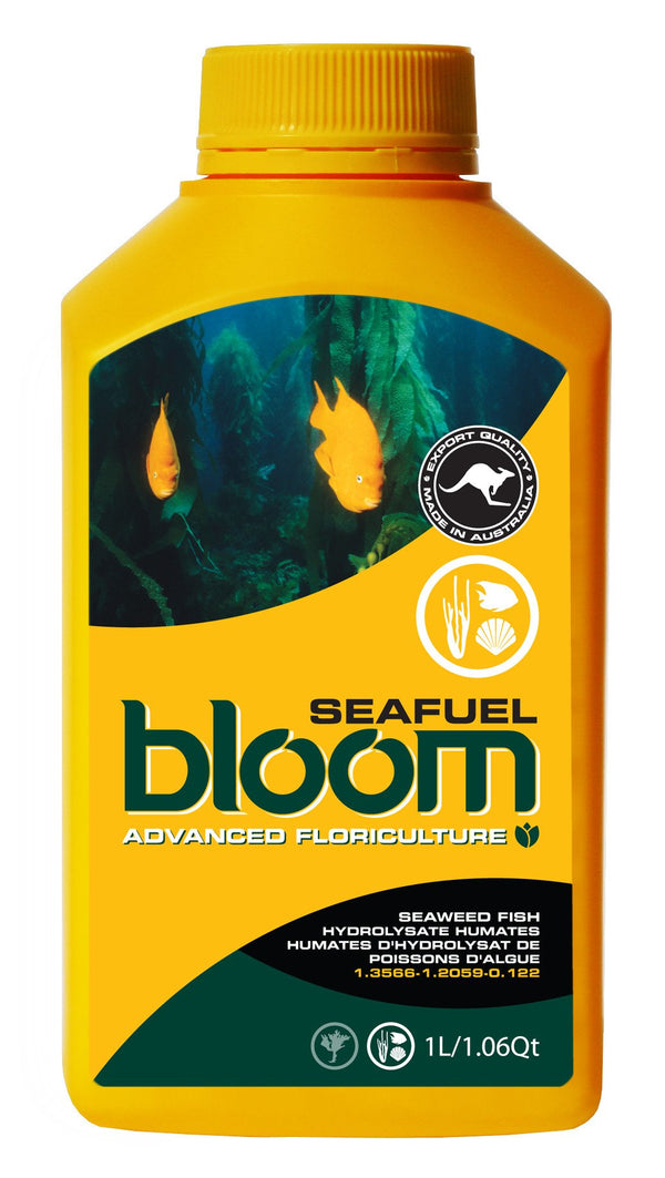 Bloom Yellow Bottles - Bloom Seafuel
