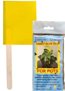 Insect Glue Traps for Pots - 8 or 10 Pack