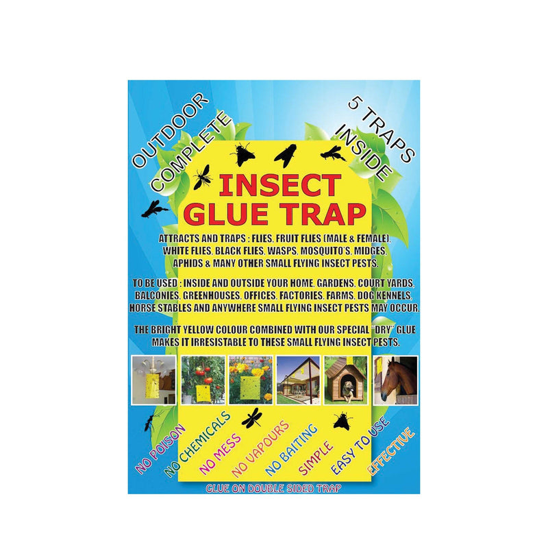 Insect Glue Traps for Pots - 8 or 10 Pack