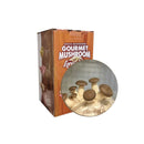 King Oyster Aussie Mushroom Kit