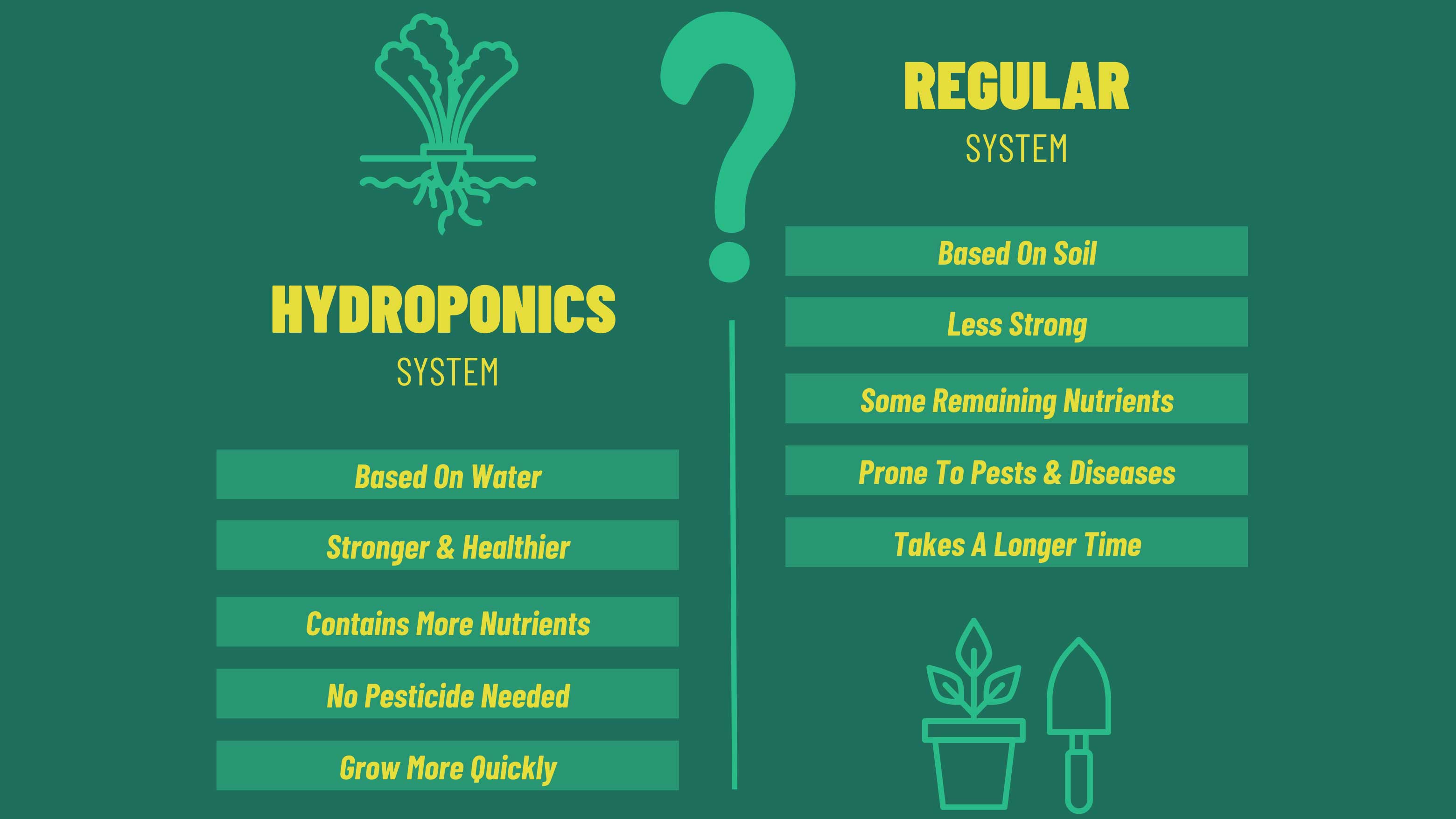 Breaking Down the Pros and Cons of Organic and Hydroponic Farming: Whi
