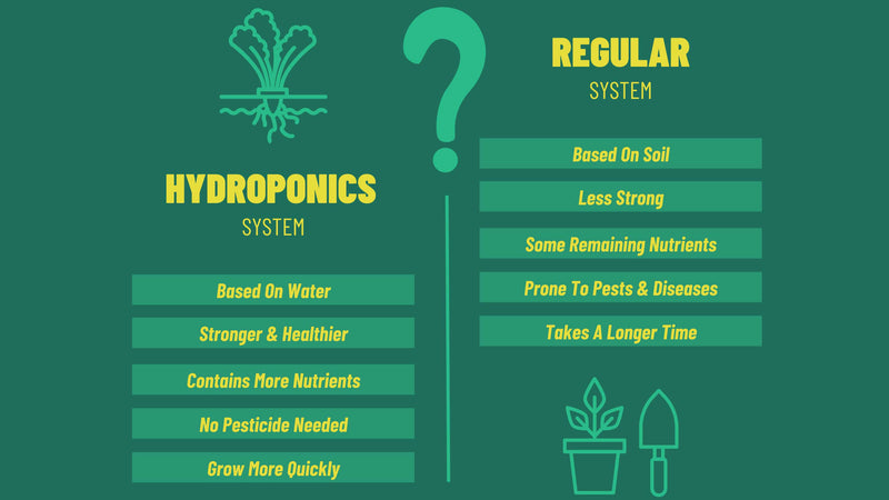 Breaking Down the Pros and Cons of Organic and Hydroponic Farming: Which One Reigns Supreme