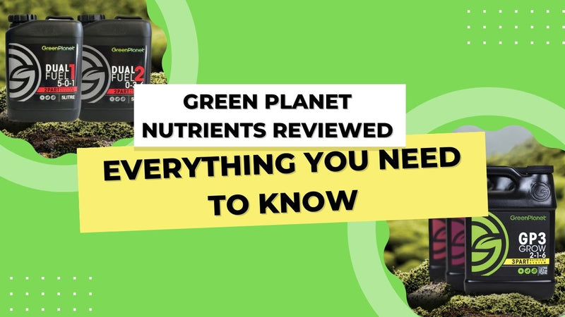 Green Planet Nutrients Reviewed: Everything You Need To Know