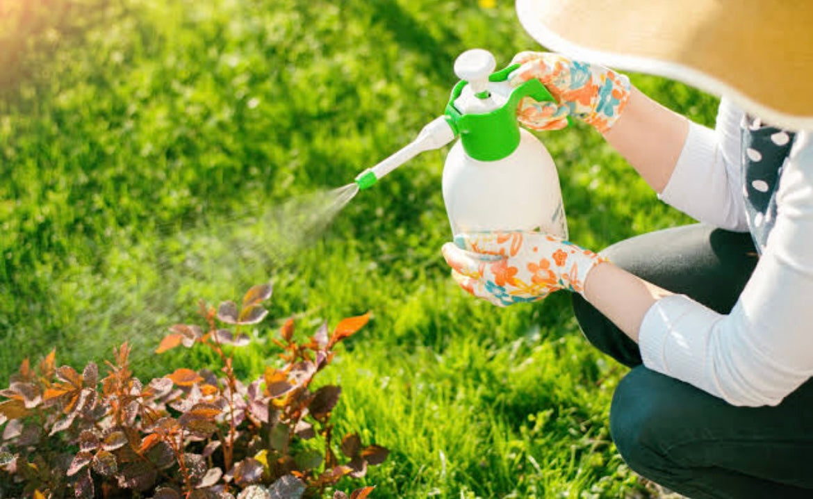 Plant Pest Control | Pest Control Sprays For Plants