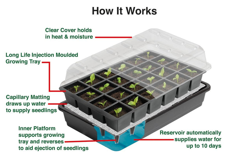 garland self watering plant tray Garland 24 Cell Self Watering Seed Success Kit