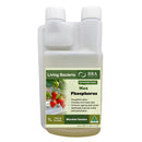 BBA Max Phosphorus Living Beneficial Bacteria - 1L