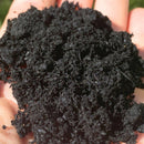 BIOCARBON - Premium Biochar (Engineered Carbon for Soil) - 9L