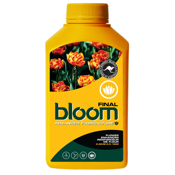 Bloom Final - 1L