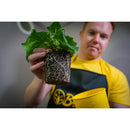 Budtrainer Budcup - Yellow