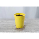 Budtrainer Budcup - Yellow