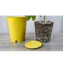 Budtrainer Budcup - Yellow