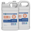 Cultured Solutions Bloom A & B - 2 x 3.8L