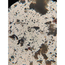 Easy As Organics Charman Biochar - 20L