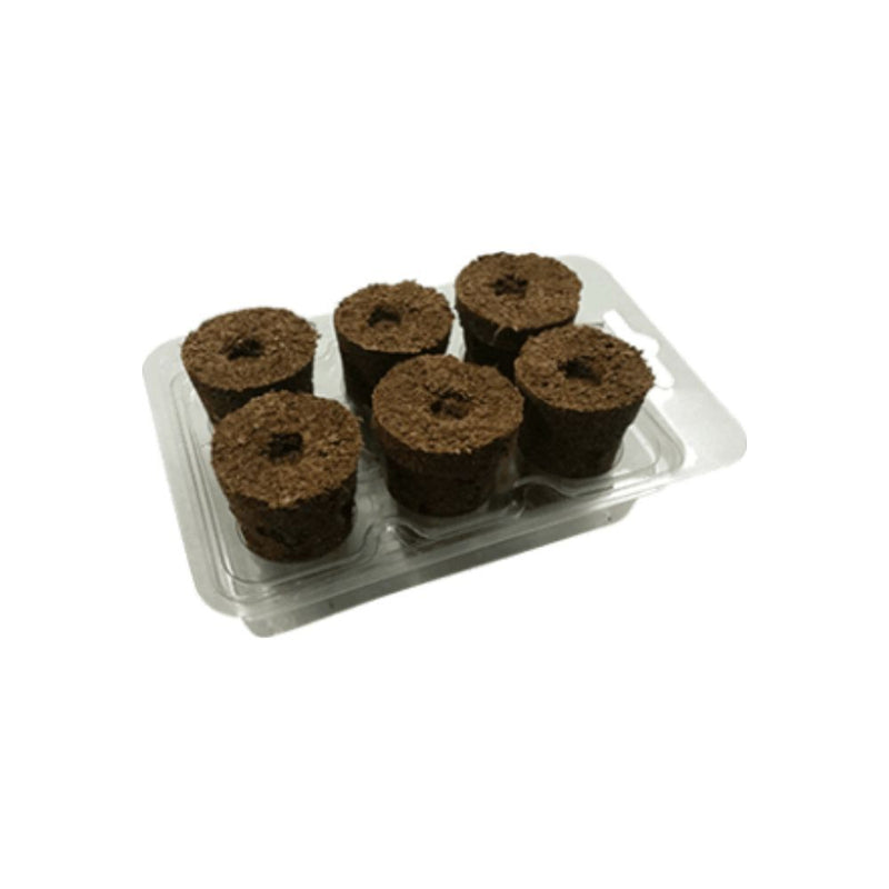 Eazy-Plug Six Plug Sowing Set