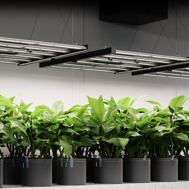 AC Infinity Ionframe EVO6 Samsung LM301H EVO 500W LED Grow Light 4x4F or 120x120cm Flower