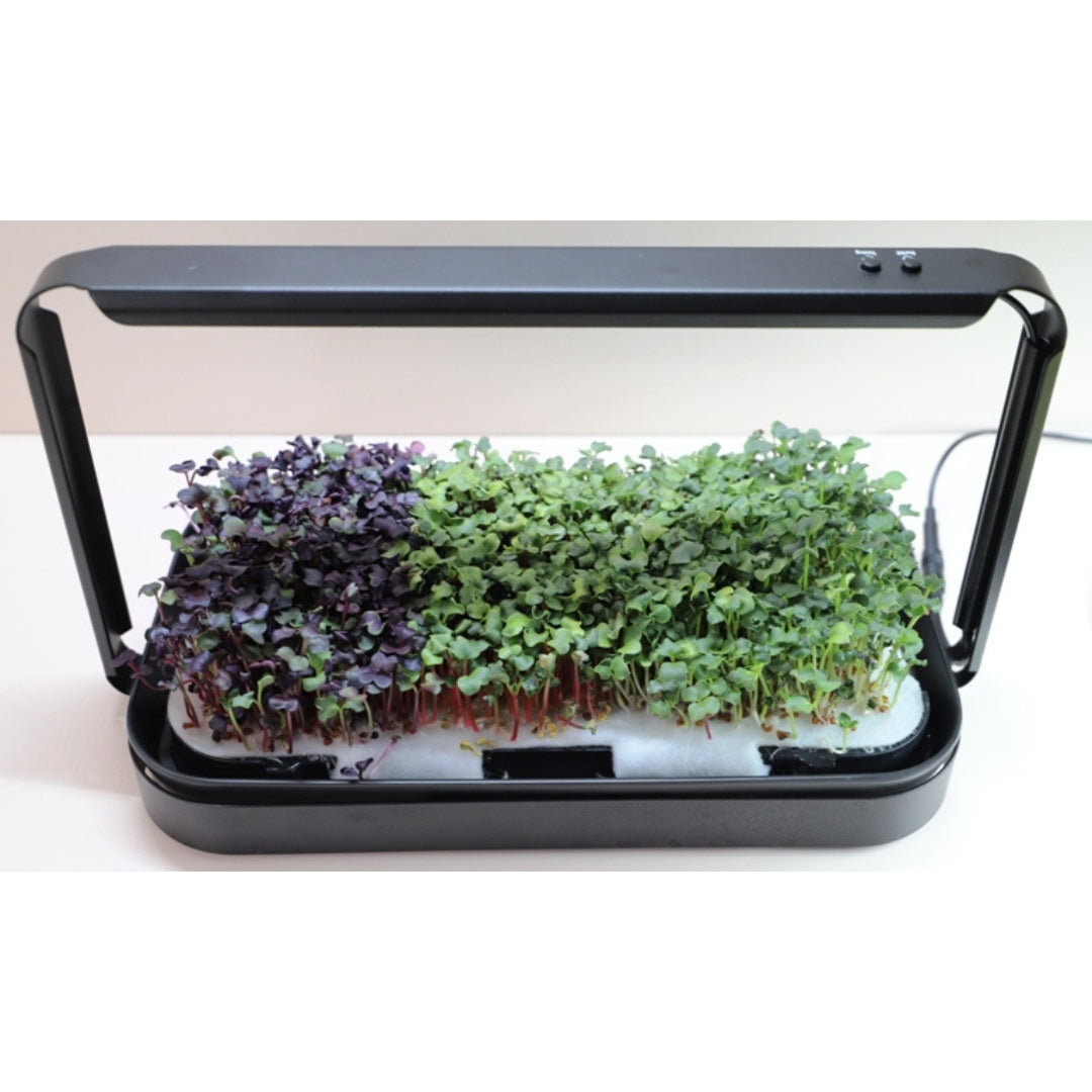 Mini Micro Greens LED Light Growing Kit