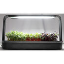 Mini Micro Greens LED Light Growing Kit