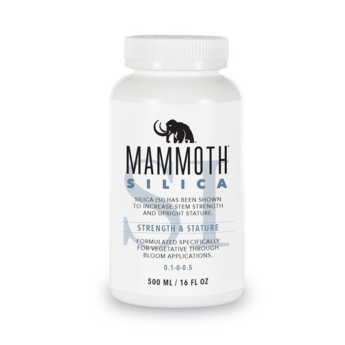 Mammoth Silica SI - 500mL