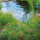 Oase Aquamax Eco Classic Pond Water Pump - 5500