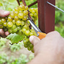 Precision Pruner Gardening Scissors