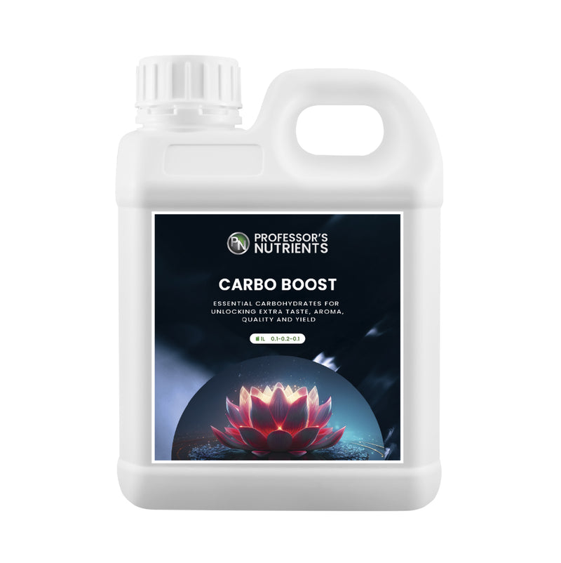 Professor's Nutrients Carbo Boost - 1L