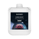 Professor's Nutrients Carbo Boost - 20L