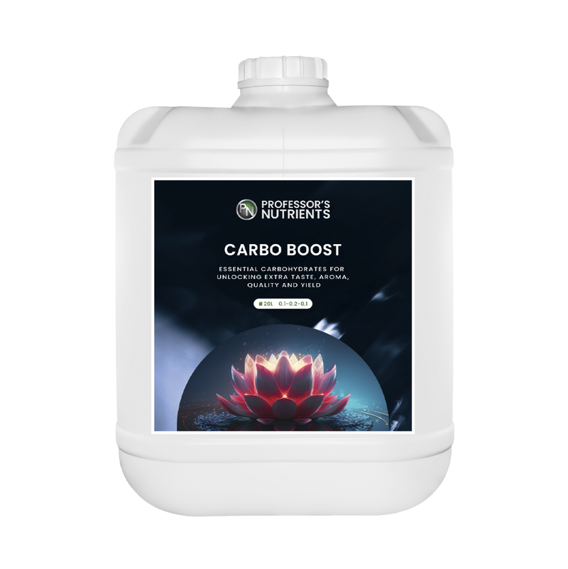 Professor's Nutrients Carbo Boost - 20L