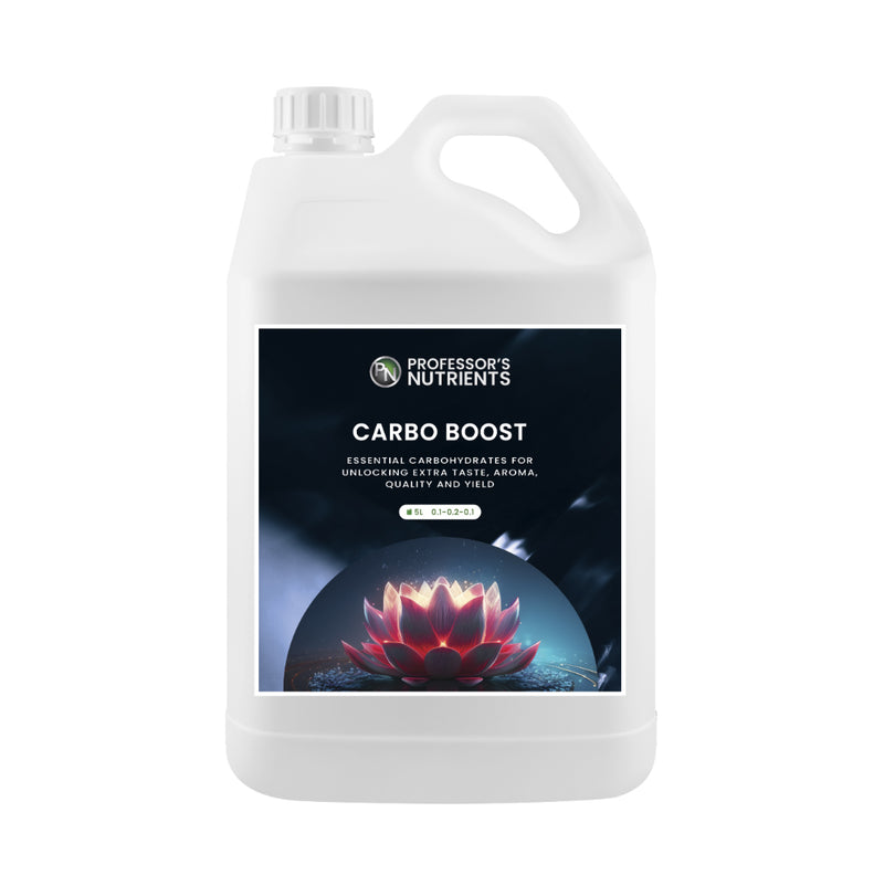 Professor's Nutrients Carbo Boost - 5L