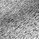 ROOTIT Small Insulated Mat  For Propagation Heat Mats - 350 x 250mm