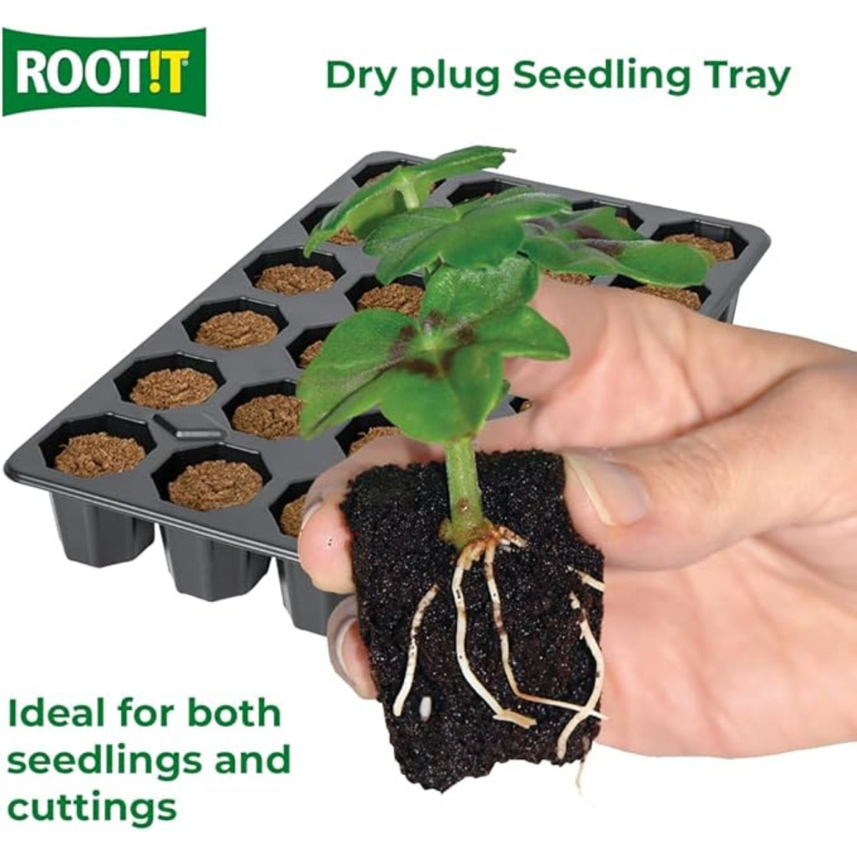 ROOT!T Coco Coir Dry Propagation Plugs - 24 Cell Tray