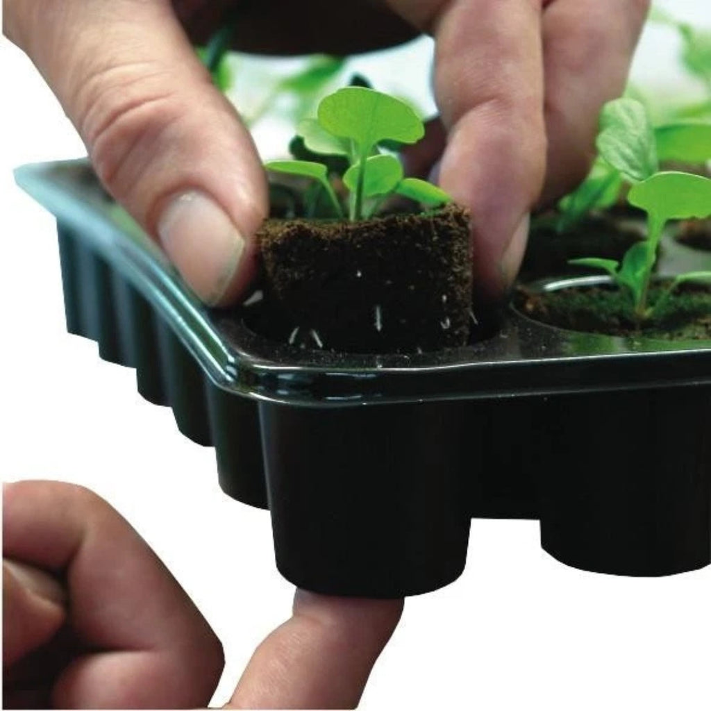 Cococore Plug Maker ROOT!T Coco Coir Dry Propagation Plugs - 24 Cell Tray