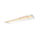 Spider Farmer SF300 33W LED grow light over seedlings