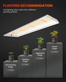Spider Farmer SF300 growing tips and hanging height guide