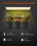 Spider Farmer SF600 uniform PAR value map