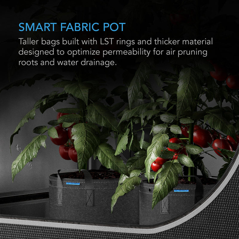 AC Infinity Heavy Duty Fabric Pots, 3 Gallon - 5 pack