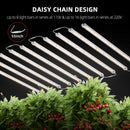Spider Farmer Glow80 daisy chain connection of multiple light bars