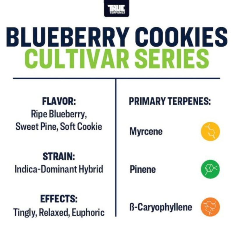 True Terpenes - Blueberry Cookies - 5mL